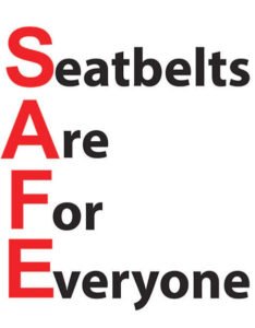 seat-belts-for-everyone-web