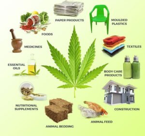 Infographic-Marijuana-Produ