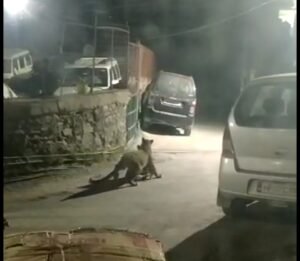 WhatsApp Image 2020-10-08 at 5.48.58 PM