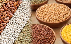Food-Grains-10-5-17-web