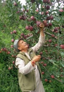 FB_IMG_1633857423390