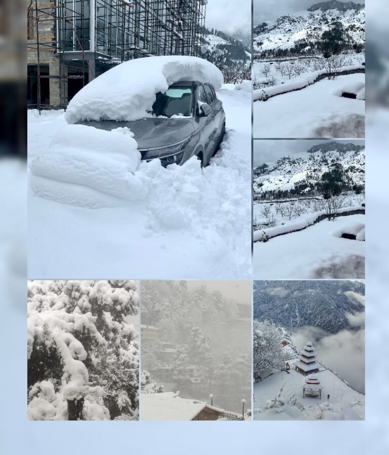 GridArt_20220125_201211580