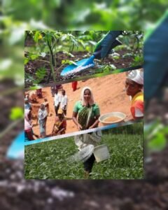 GridArt_20220201_191646893