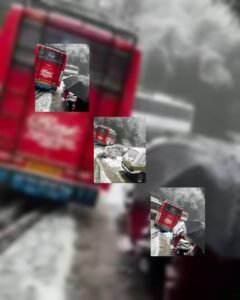 GridArt_20220204_145043680