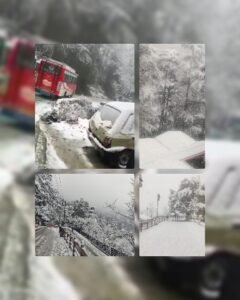 GridArt_20220204_202741616