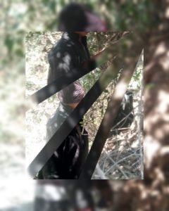 GridArt_20220219_205702354