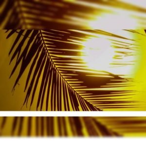 GridArt_20220327_184917247