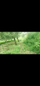 Screenshot_2022-07-15-16-03