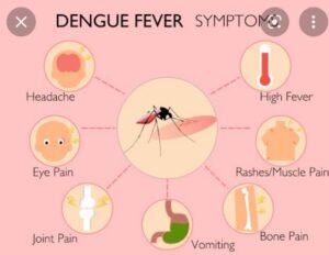 Screenshot_20221002-210249_Google