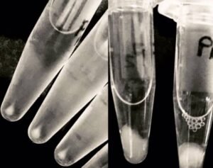 Screenshot_20230417-200708_Chrome