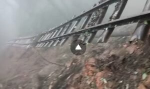 Screenshot_20230814-165253_WhatsApp