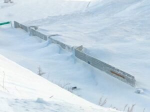 FB_IMG_1709624019445