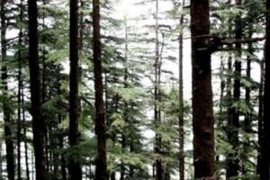 Screenshot_20240702_073748_Google