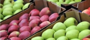 Screenshot_20240704_081532_Google