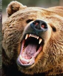 Screenshot_20241023_081615_Google