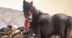 Screenshot_20241101_133216_Google