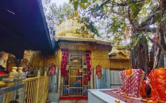 Screenshot_20250307_101323_Google