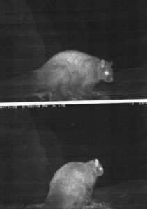 Photographs - Copy_page-0002