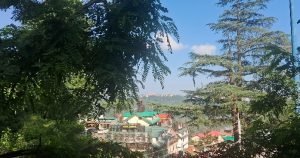 Shimla sunshine