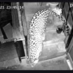 Screenshot_20260122_100548_Gmail