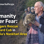 file_000000009b2c72088befb47eed1c0013