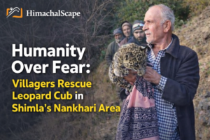 file_000000009b2c72088befb47eed1c0013