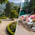 NGT stays construction of Waste Facility inside Kullu park, bars further activity at Site