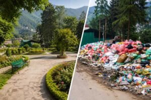 NGT stays construction of Waste Facility inside Kullu park, bars further activity at Site