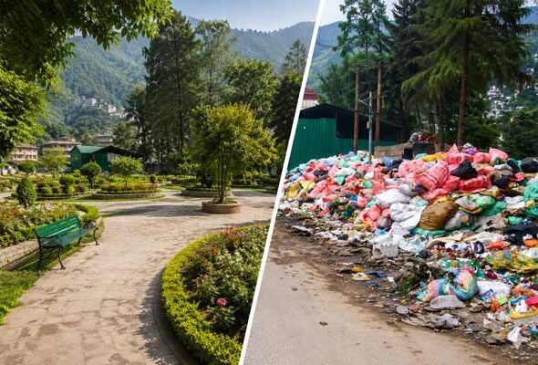 NGT stays construction of Waste Facility inside Kullu park, bars further activity at Site