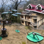 May Storm in Himachal: Fatal tree fall kills 4, orchards & rabi crops damaged