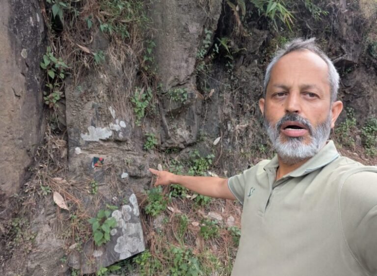 Geologist discovers rare palm fossil near Army Cantonment in Dharamshala