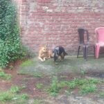 IMG_20260723_190248