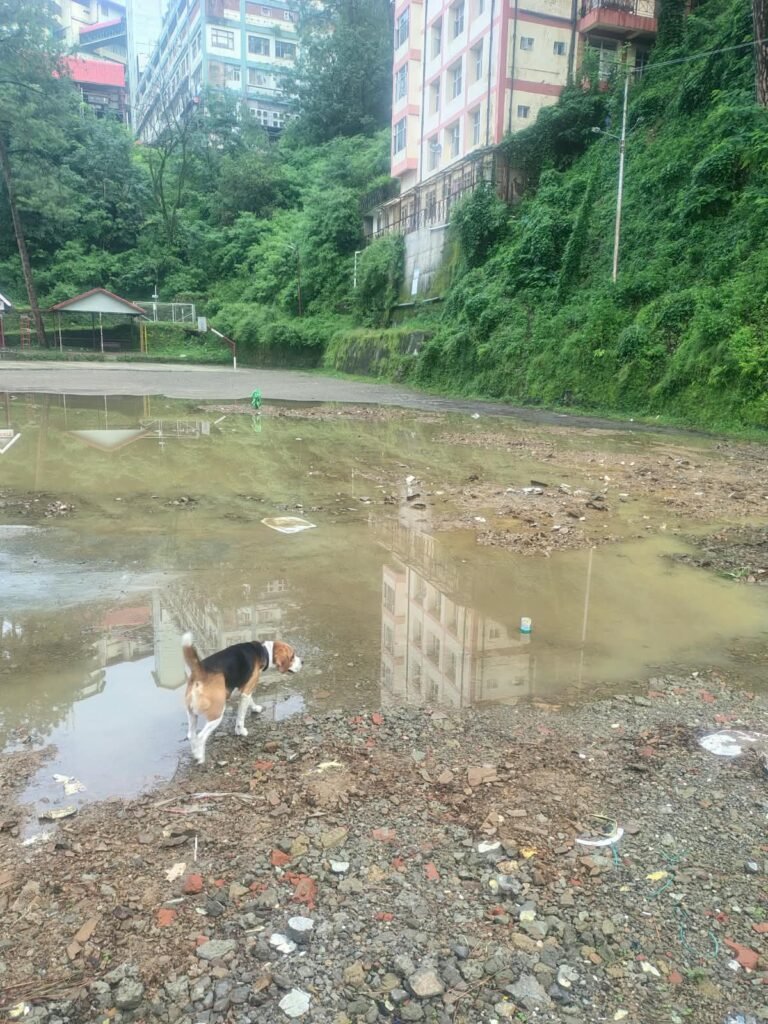 IMG-20260904-WA0012