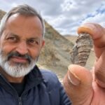 Nyoma.fossil