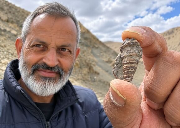 Nyoma.fossil