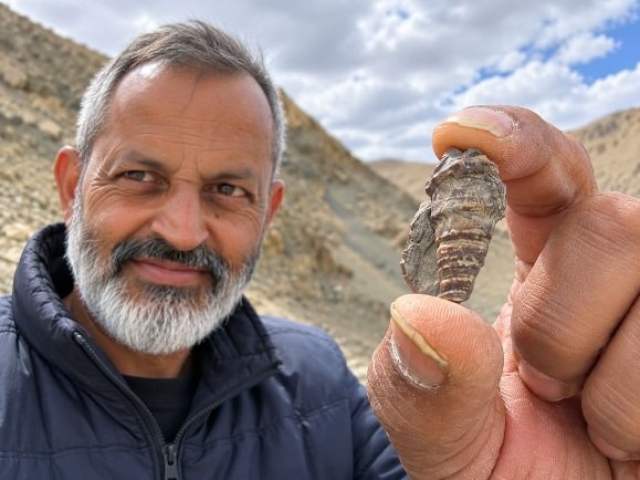 Nyoma.fossil