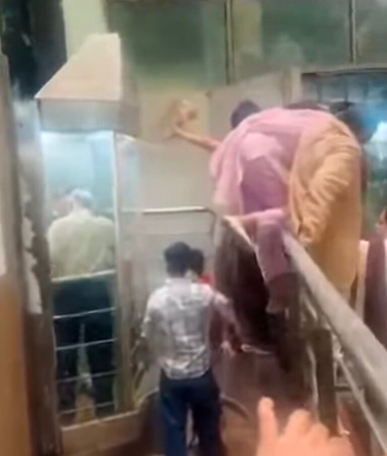 Overloaded lift stalls midway at Shimla ISBT, 10 passengers trapped for 15 minutes
